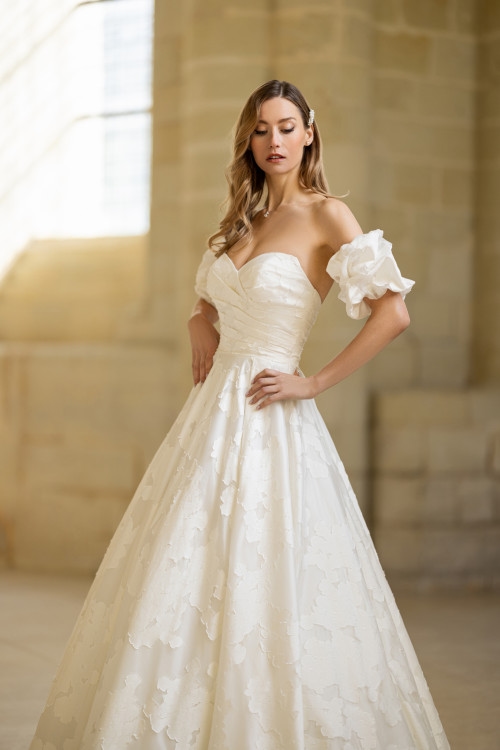 BEL22617